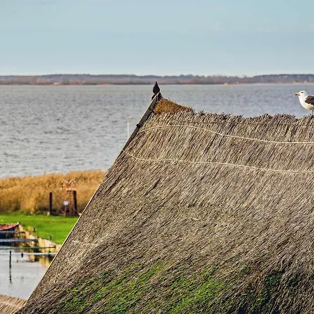 Aquarius Ferienwohnung Usedom